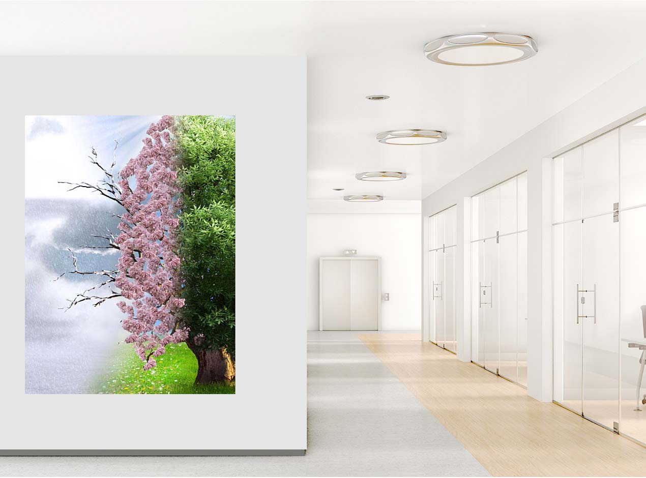 Burnaby Residential Painter, Commercial Painter and Interior Painter